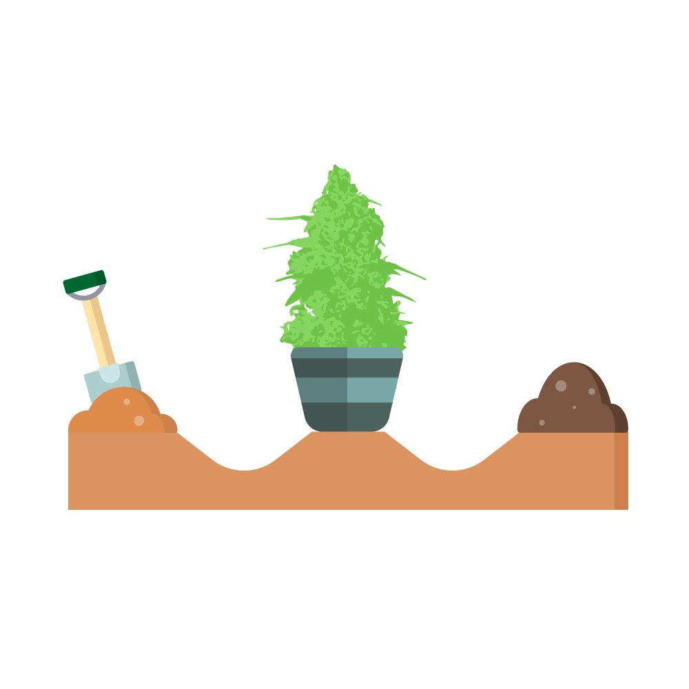 Подготовка грунта для выращивания конопли – какая почва подходит для марихуаны
